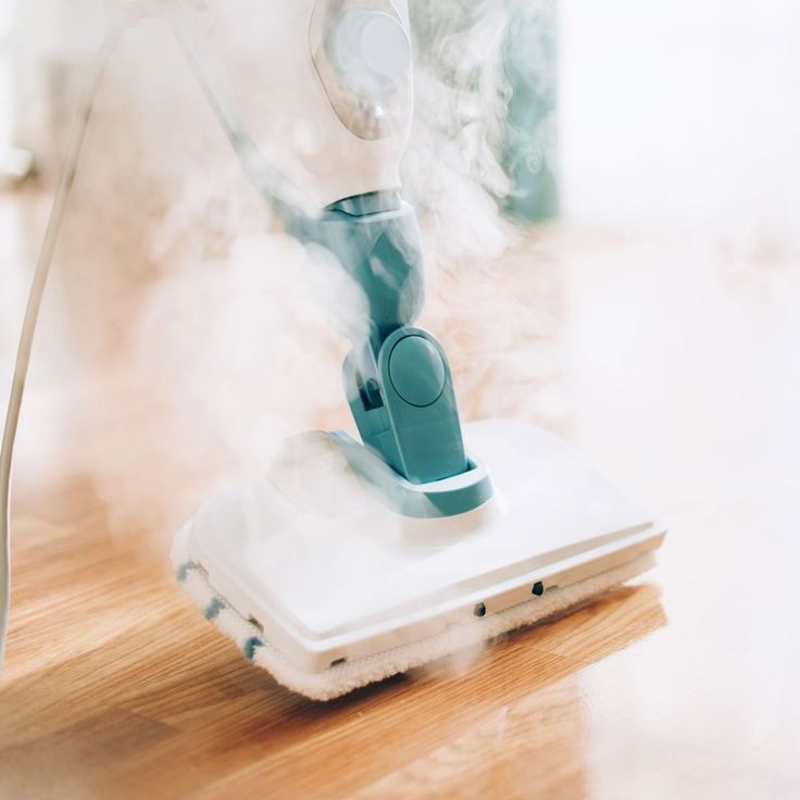 Steam Cleaner